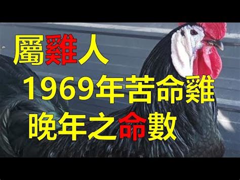 69年次|民國69年是西元幾年？民國69年是什麼生肖？民國69年幾歲？